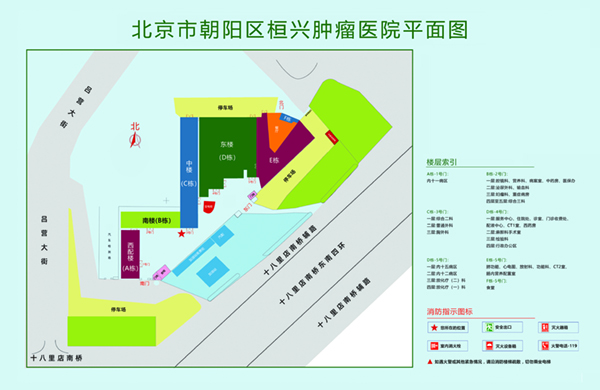 免费爆操美女小骚逼北京市朝阳区桓兴肿瘤医院平面图